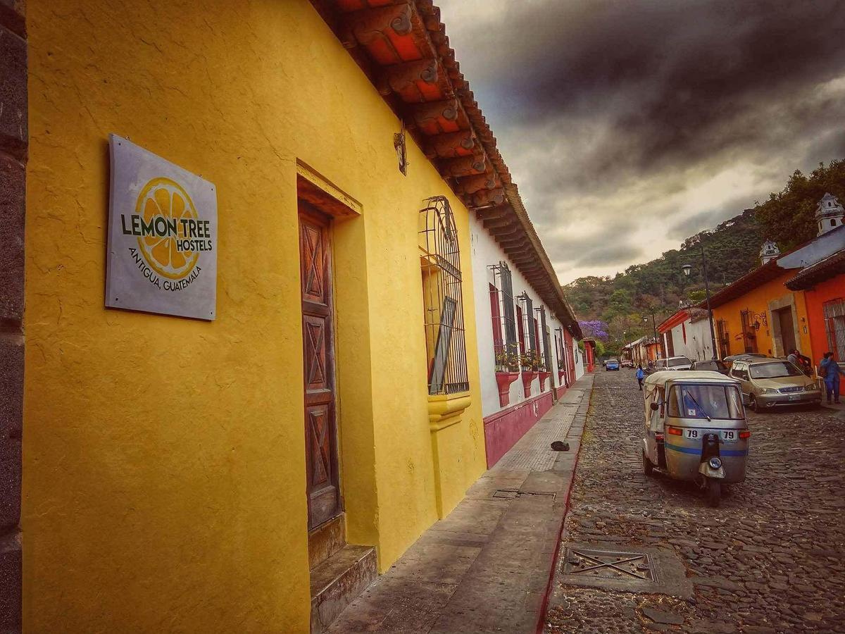 Lemon Tree Hostel Antigua Exterior photo